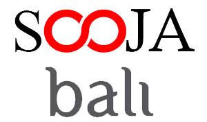 Ink Bali Studio